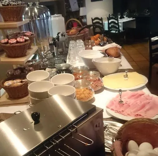 伯吉纳酒店 2* 萨斯费