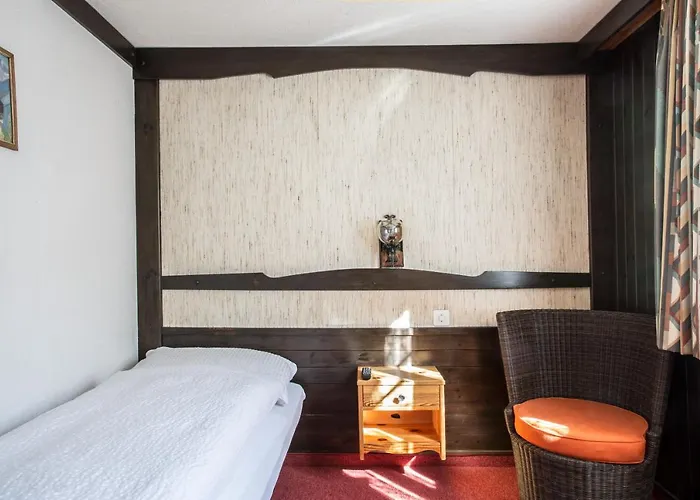 伯吉纳酒店 酒店 萨斯费