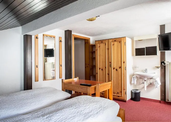 伯吉纳酒店 酒店 萨斯费