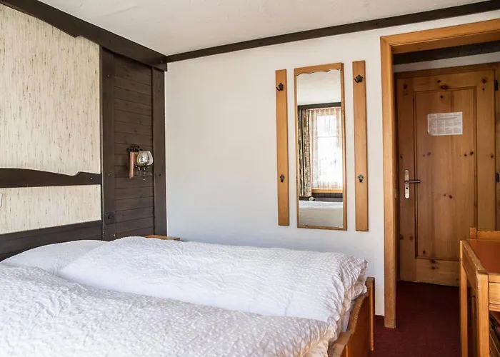 伯吉纳酒店 酒店 萨斯费