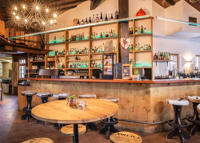 伯吉纳酒店 萨斯费