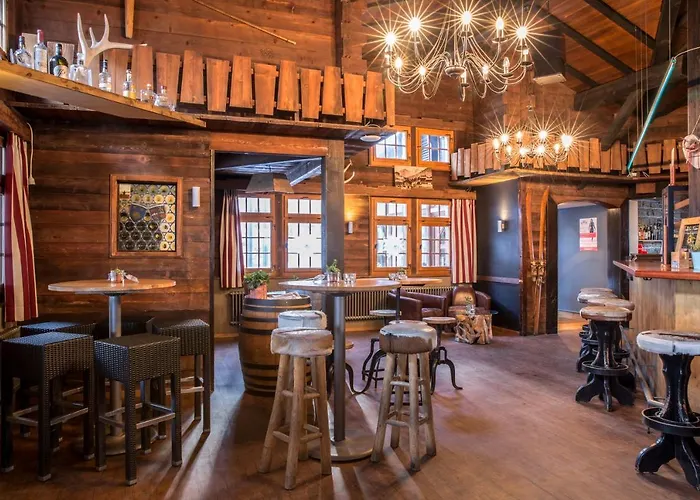 酒店 伯吉纳酒店 萨斯费